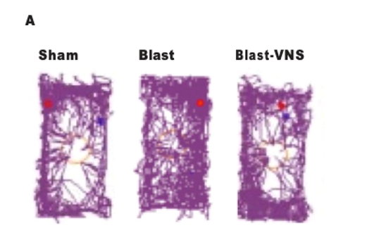 Representative Traces of Mouse Locomotion