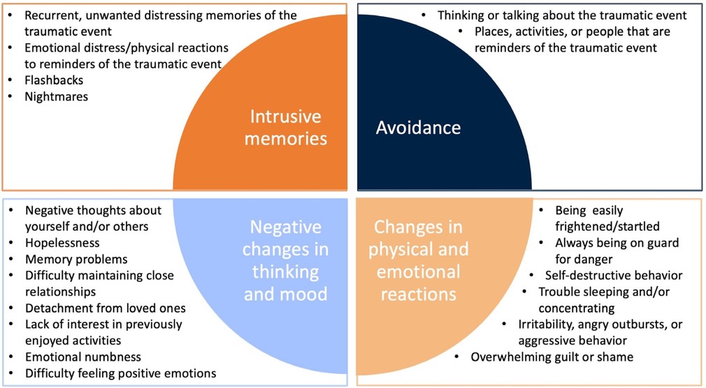 PTSD Symptom Categories