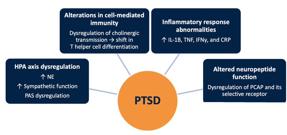 Neurobiology of PTSD